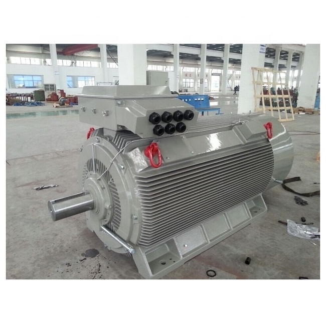 High Voltage Permanent Magnet 6KV 10KV Electric Motor