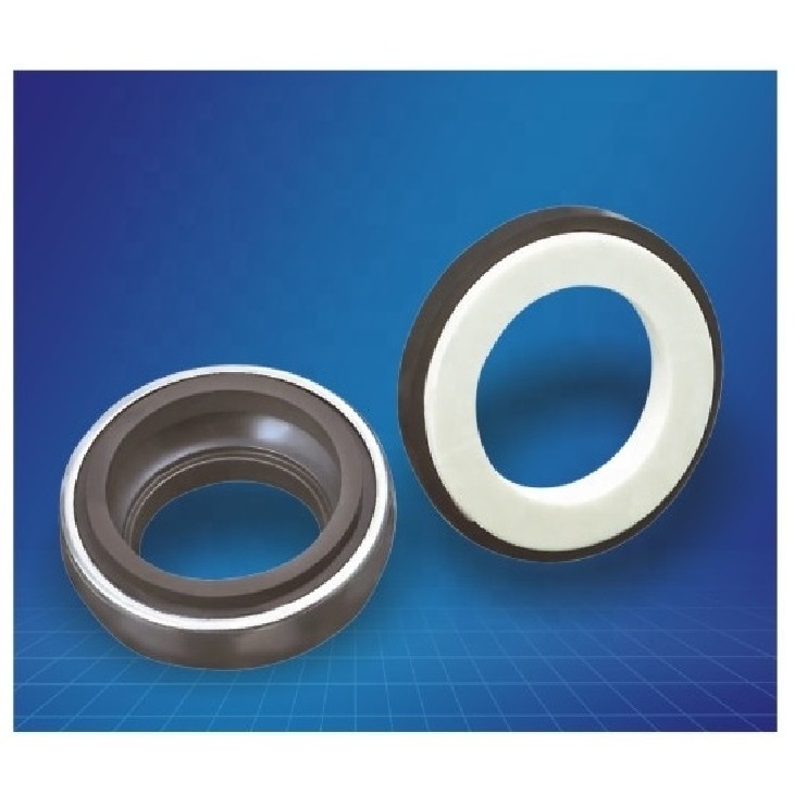 Stainless Steel SIC TC NBR Oil Water Pump Mechanical Seals