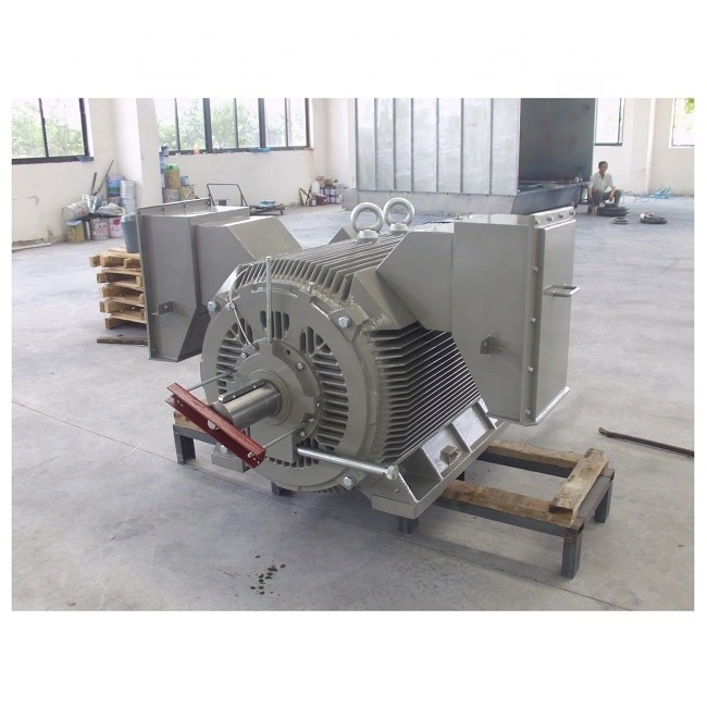 High Voltage Permanent Magnet 6KV 10KV Electric Motor