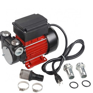 110V/220V/240V AC 100LPM Electric Self-priming Diesel Kerosene Oil Fuel Transfer Pump