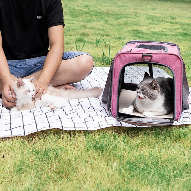 BSCI Custom hot portable travel carrier for dogs cats carrier Sling pet bag travel cat dog bag travel bag