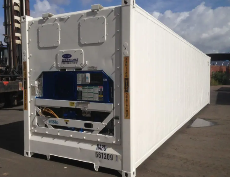 BV LR Certified 10ft Refrigerated Chiller and Freezer 10 foot Carrier Cooling Reefer Container Price