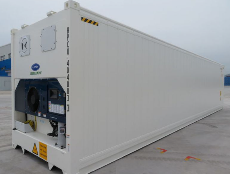 BV LR Certified 10ft Refrigerated Chiller and Freezer 10 foot Carrier Cooling Reefer Container Price