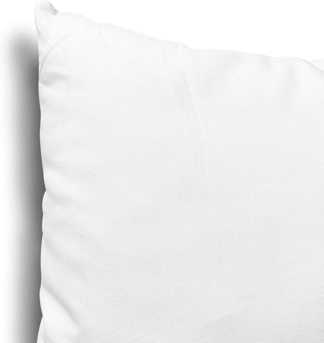 Throw Pillow Inserts Set of 2  Down Alternative Polyester Pillow Couch Cushion Sham Stuffer Machine Washable (White 18*18)