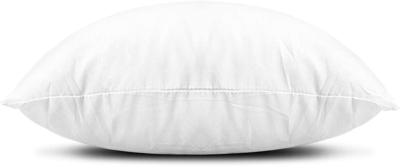 Throw Pillow Inserts Set of 2  Down Alternative Polyester Pillow Couch Cushion Sham Stuffer Machine Washable (White 18*18)