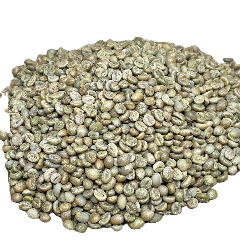 Green Robusta Coffee Beans Best Seller High Quality Robusta Green Coffee Beans Made in Vietnam with customization services