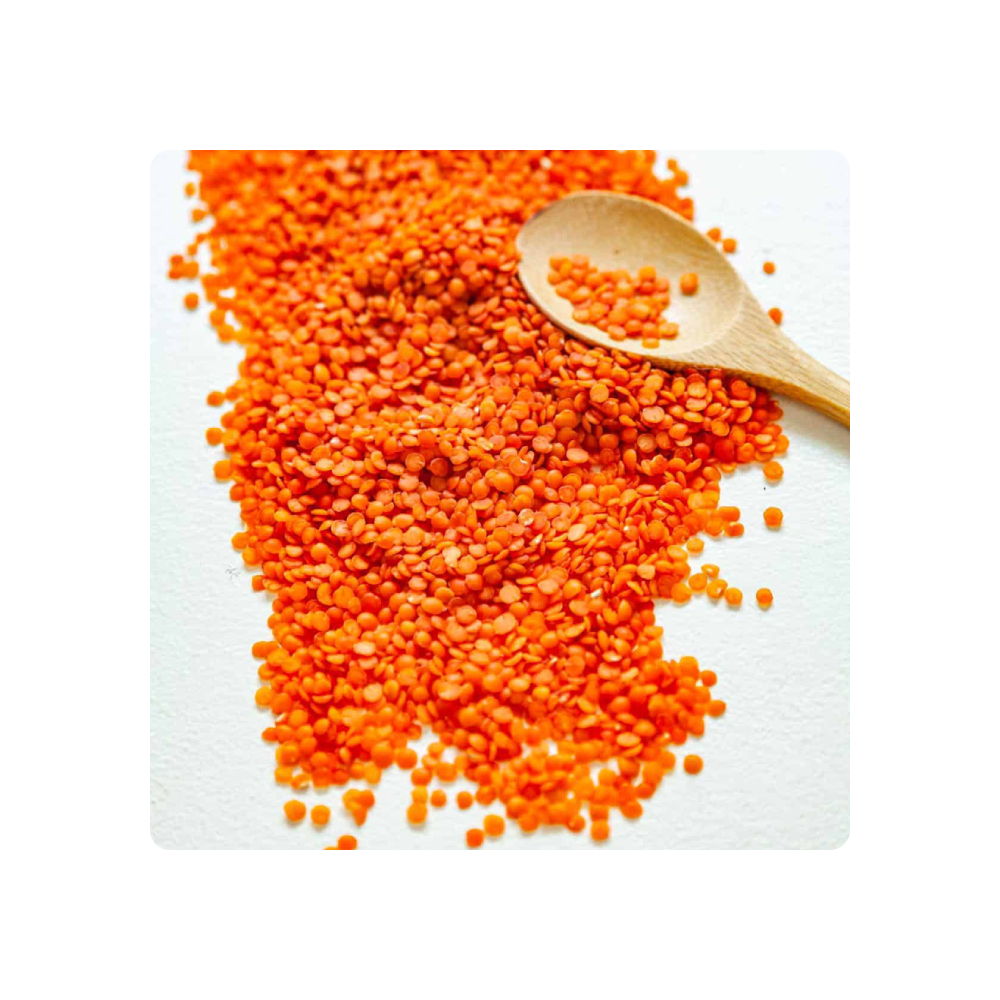 Wholesale Price Canadian Red Lentils / Split Red Lentils Available for Sale at Low Price Fresh Red Lentil for Europe Bulk