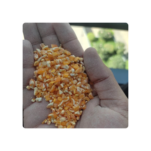 Indian Origin Crush Maize For Sale Yellow Crush Corn Maize For Bird Feed Export From India Crush Maize