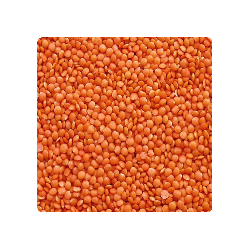 Wholesale Price Canadian Red Lentils / Split Red Lentils Available for Sale at Low Price Fresh Red Lentil for Europe Bulk