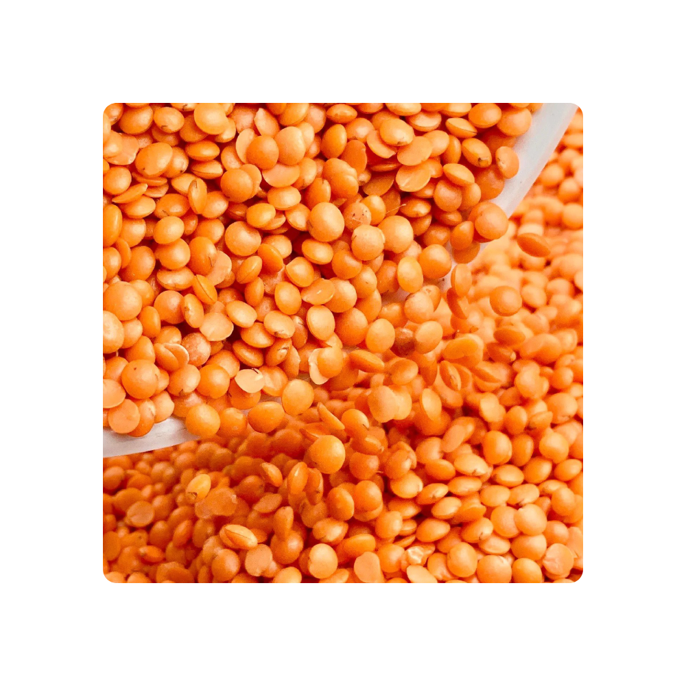 Wholesale Price Canadian Red Lentils / Split Red Lentils Available for Sale at Low Price Fresh Red Lentil for Europe Bulk