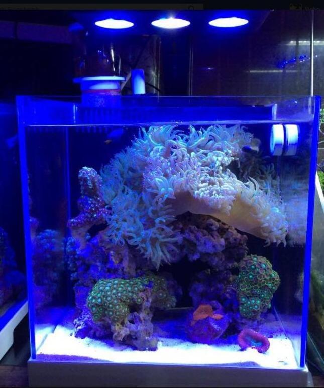 High Quality marine aquarium led lighting lamp