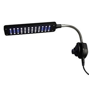 Clip on lamp aquarium lighting with touch switch for aquarium tank