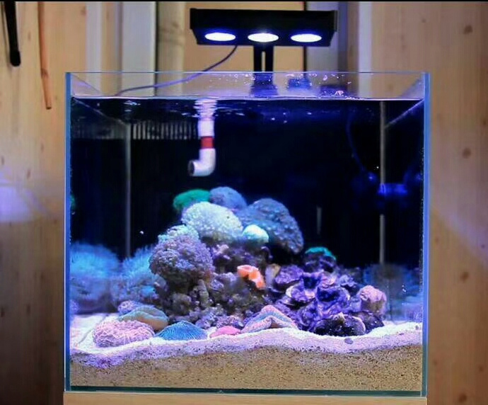 High Quality marine aquarium led lighting lamp