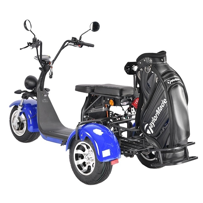 Electric scooter 3 wheel golf club course Fat Tire Safe Sport Type Trike Citycoco Model Golf Tricycle