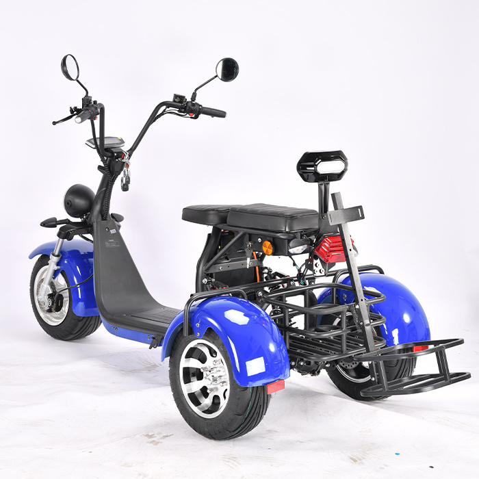 Electric scooter 3 wheel golf club course Fat Tire Safe Sport Type Trike Citycoco Model Golf Tricycle