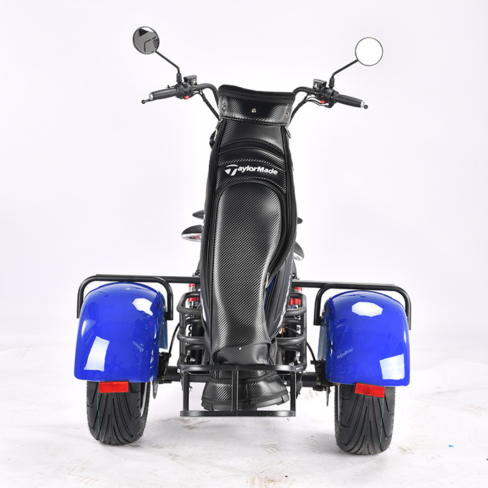 Electric scooter 3 wheel golf club course Fat Tire Safe Sport Type Trike Citycoco Model Golf Tricycle