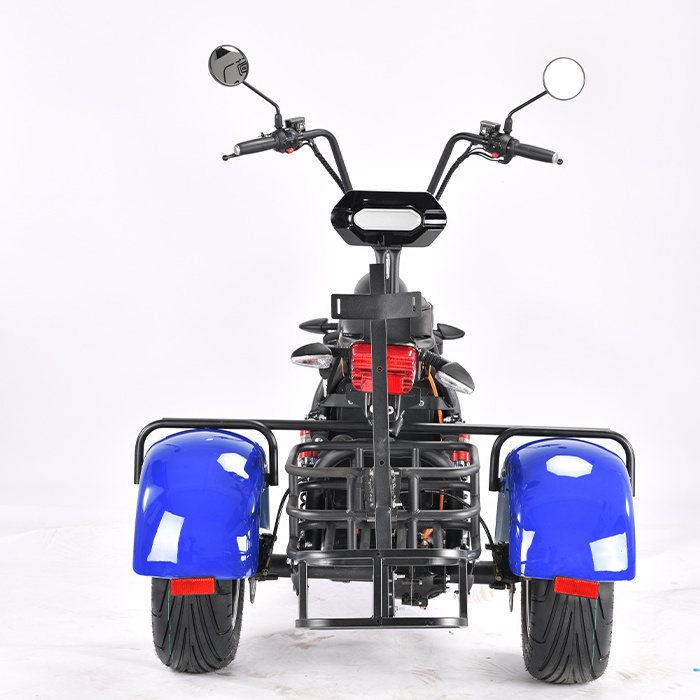 Electric scooter 3 wheel golf club course Fat Tire Safe Sport Type Trike Citycoco Model Golf Tricycle