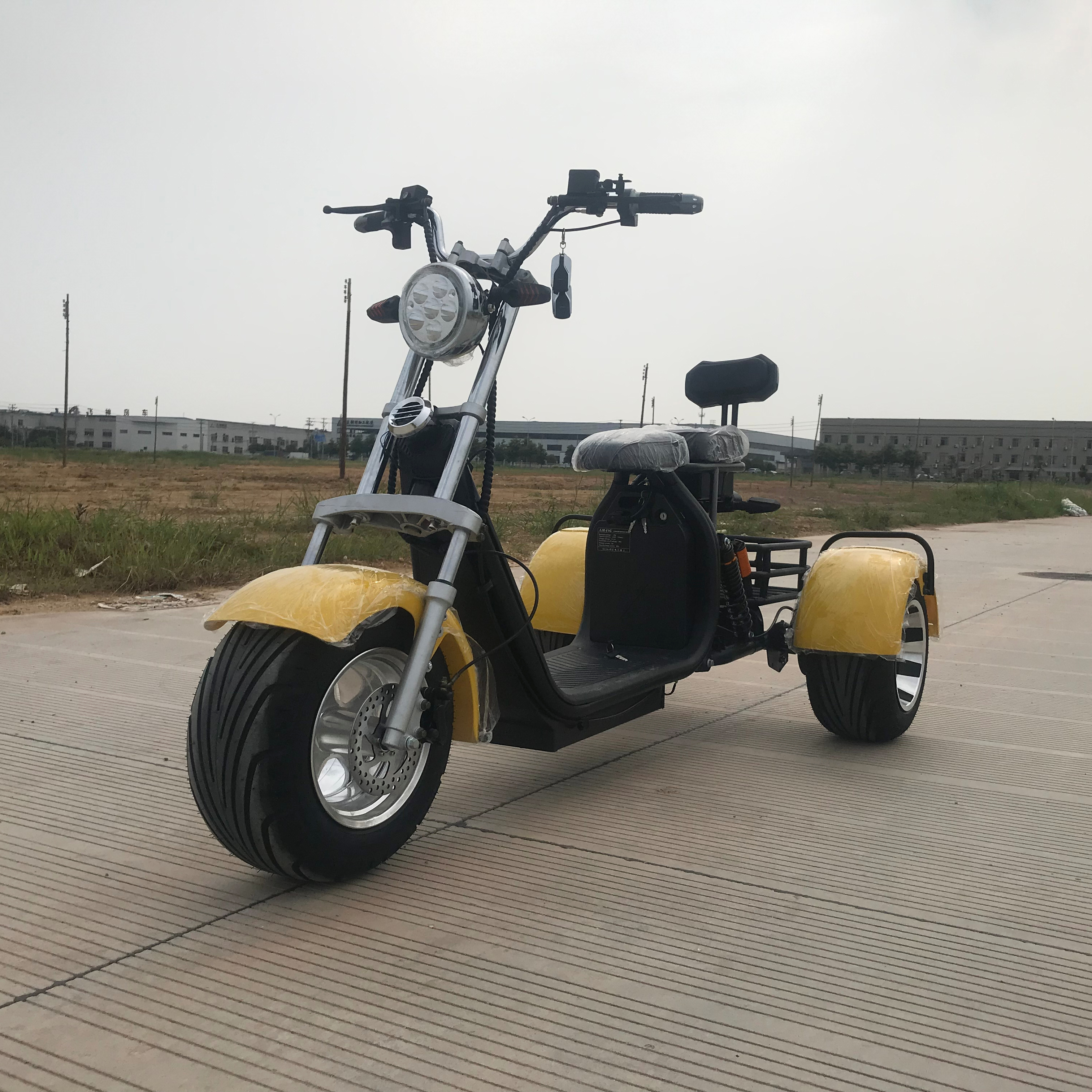 Tricycles 3 Wheel Electric Scooters Adult Fat Tire 1000W/1500W/2000W Tricycle