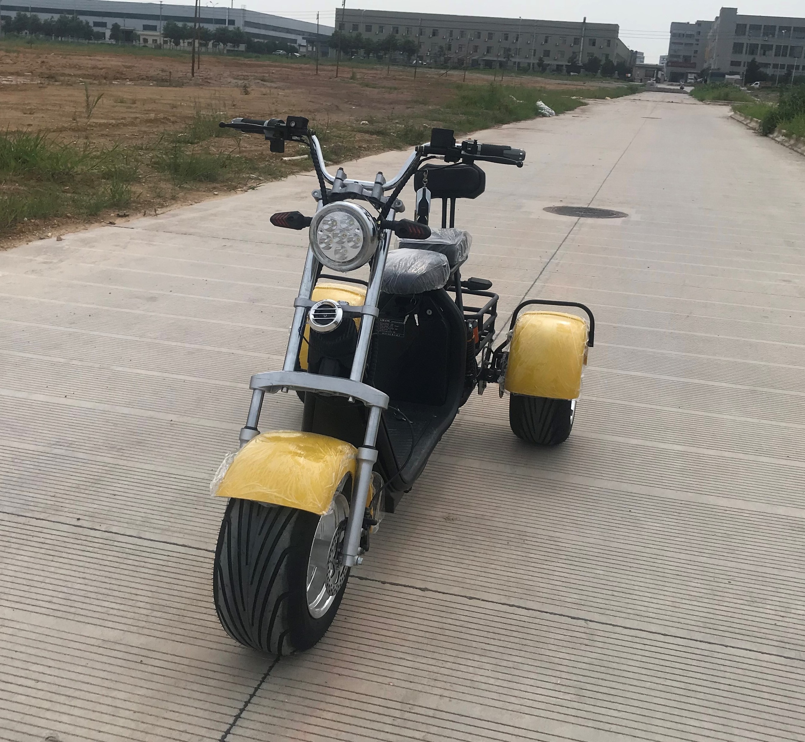 New style CE electric scooter 1000w 3 wheel sport citycoco electric motorcycle with big wheels and removable seev citycoco