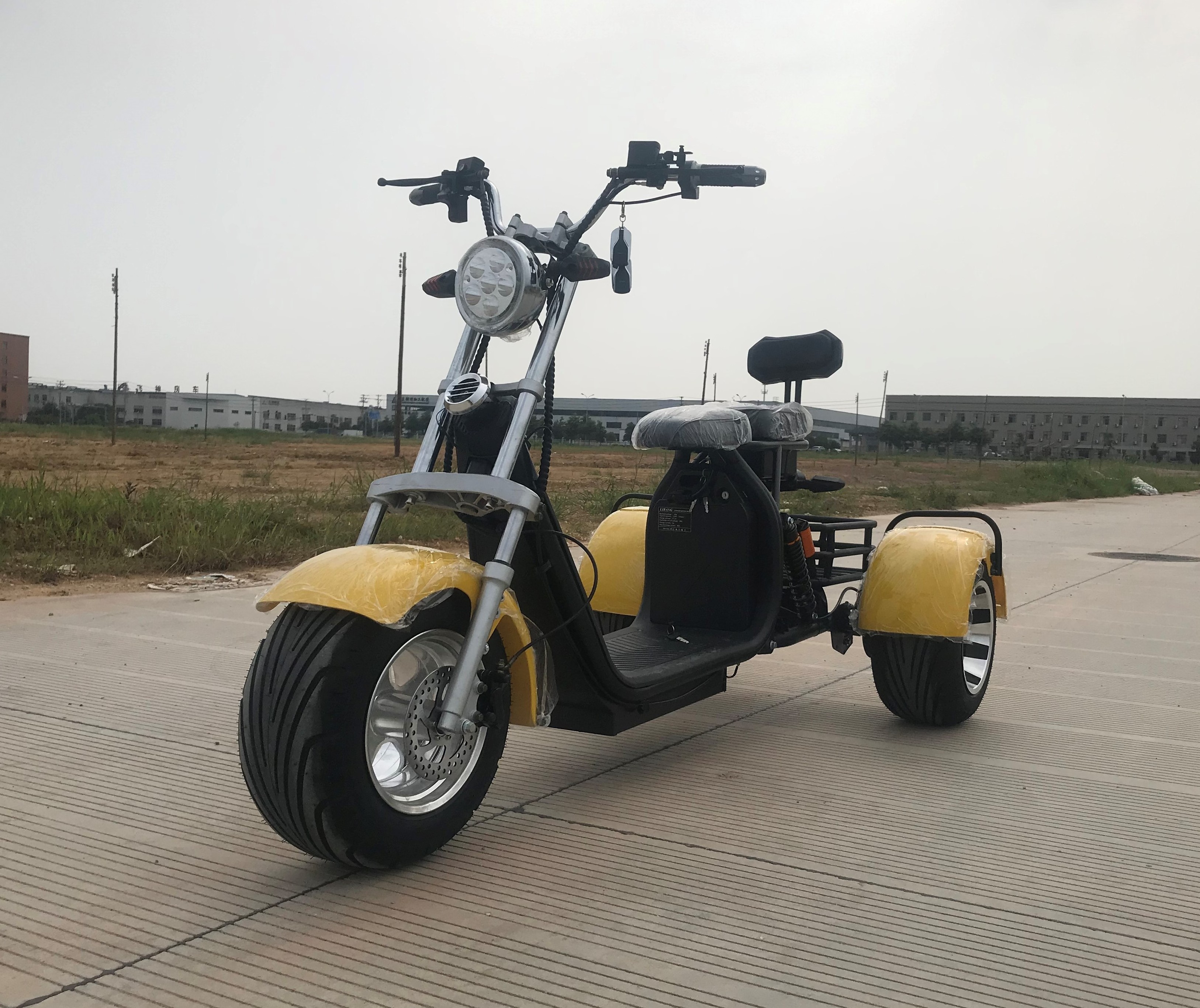 New style CE electric scooter 1000w 3 wheel sport citycoco electric motorcycle with big wheels and removable seev citycoco