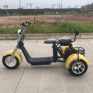 Galactique Three Wheels E Wide Wheel Electric Trike Scooter Sidecar