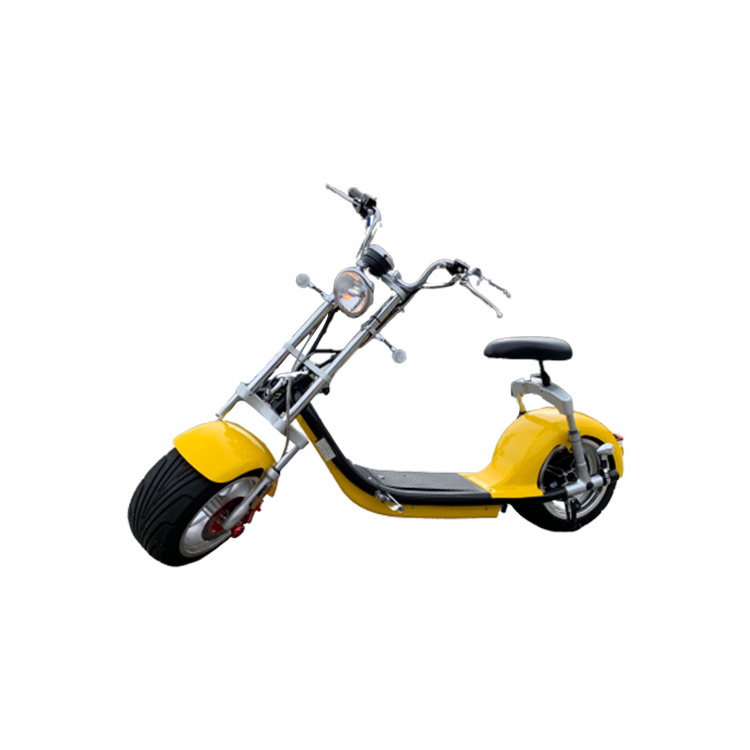 Citycoco electric scooter 2 Wheels Electric Motorcycle e-bike