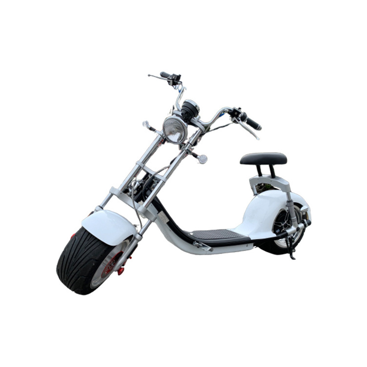 Citycoco electric scooter 2 Wheels Electric Motorcycle e-bike