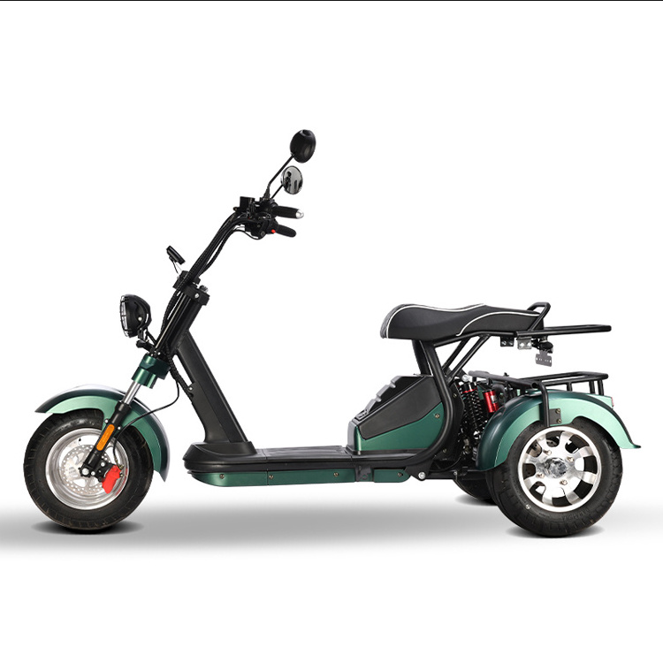 New product launch 3 wheel electric scooter with seat 1500W 2000W EEC COC electric tricycle CITYCOCO for adult