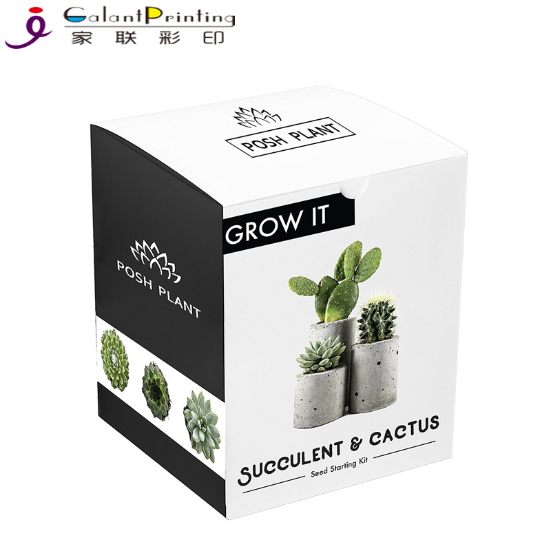 Custom Made Paper Folding Plants Seeds Packaging Gift Box for Packing Paper Gift Box