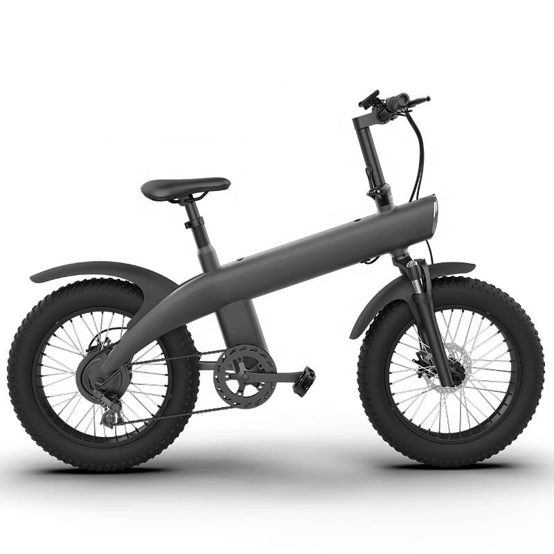 2023 New Product 48v 20 inch tire 750w motor  electric bicycle bike electric fat tire bike scooter