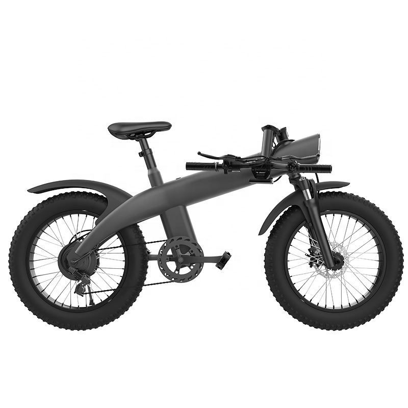 2023 New Product 48v 20 inch tire 750w motor  electric bicycle bike electric fat tire bike scooter