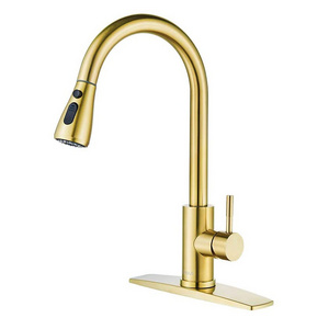 GALENPOO Gold Kitchen Faucets with Pull Down Sprayer, Kitchen Sink Faucet with Pull Out Sprayer, Copper Kitchen Faucet,