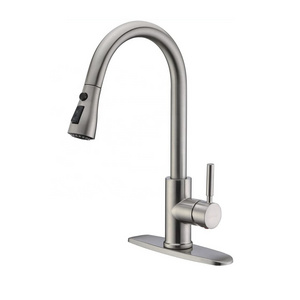 GALENPOO Single Handle High Arc Stainless Steel Brushed Nickel Pull Out Kitchen Faucet,with Pull Down Sprayer