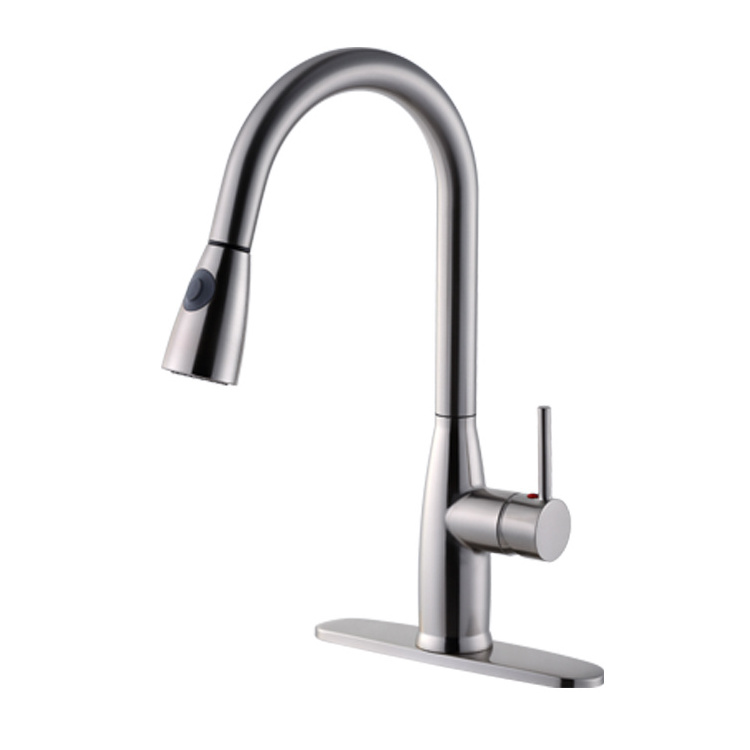 Single Handle Spring Kitchen Sink Faucet with Pull Out Spray Head