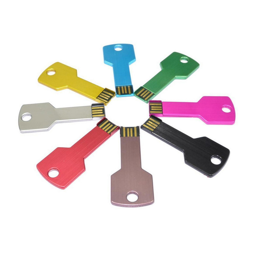 Metal Key USB Flash Drive Disk On Key With Logo