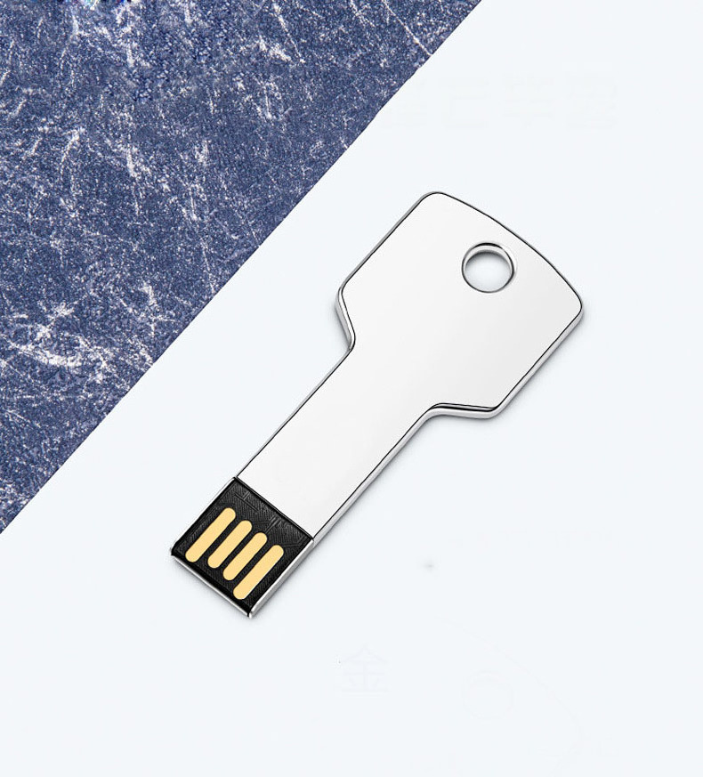 Metal Key USB Flash Drive Disk On Key With Logo