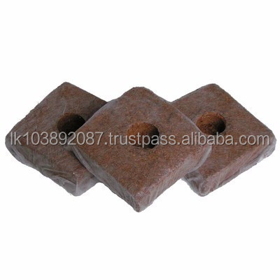 GALUKU SEEDING Cube Coco Peat from LK 10 X 10 X 10cm 1litre