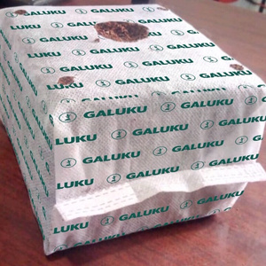 GALUKU SEEDING Cube Coco Peat from LK 10 X 10 X 10cm 1litre