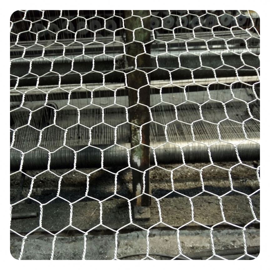 High Quality Best Price Stainless Steel Hook Flower Nets/Diamond Wire Mesh Fence Price