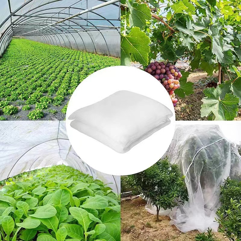 Agriculture Anti Insect Net Mesh 90 Anti Insect Netting Hdpe Agricultural Virgin White Phifer Insect Capture Net