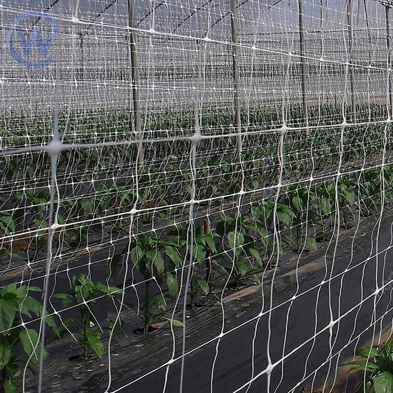 Tomato Trellis Net Scrog Trellis Netting 5X30 Cucumber Trellis Net 2X4