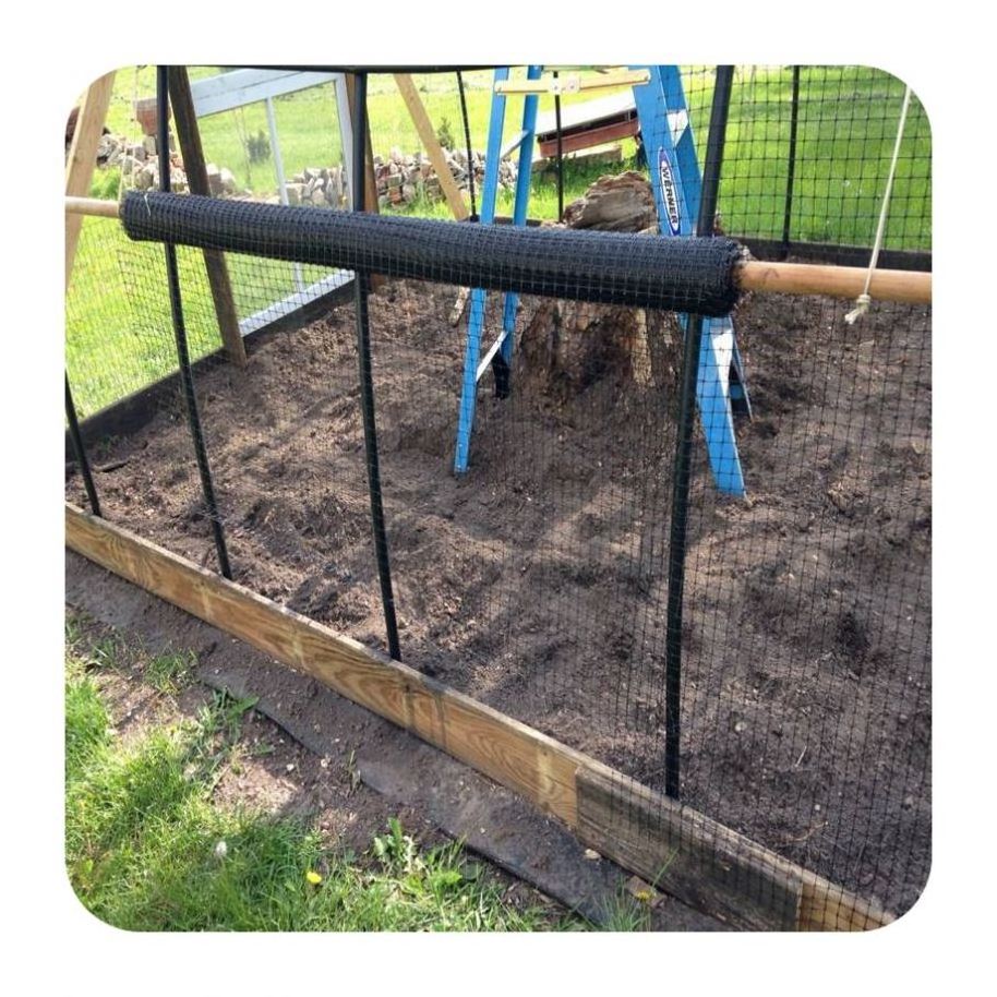 For Plant Rabbit Rooster Cage Mole Stop Net