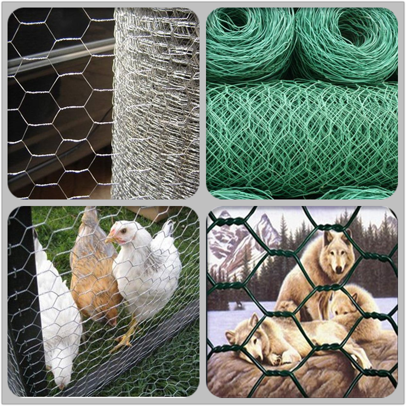 Twisted Galvanized Hexagonal Wire Mesh 17 Gauge Hexagonal Chicken Coop Wire Netting Chicken Coop Wire Netting