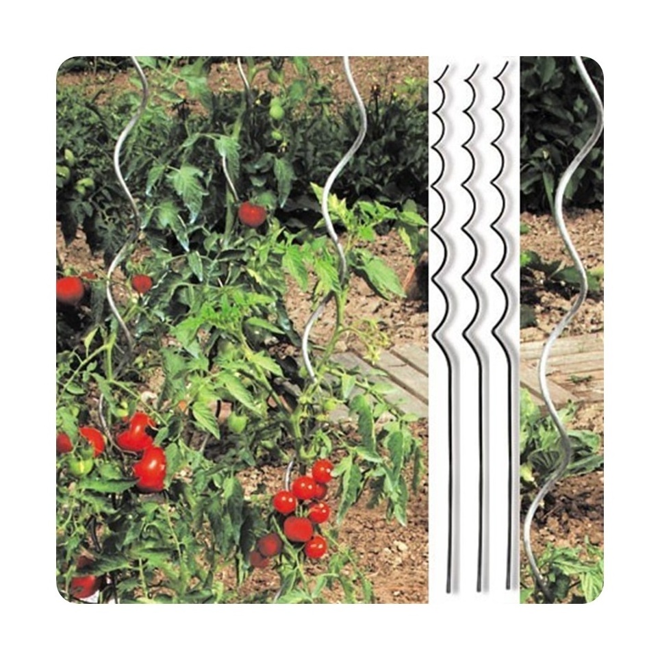 Tomato Growing spiral tomato cages gardening support sticks