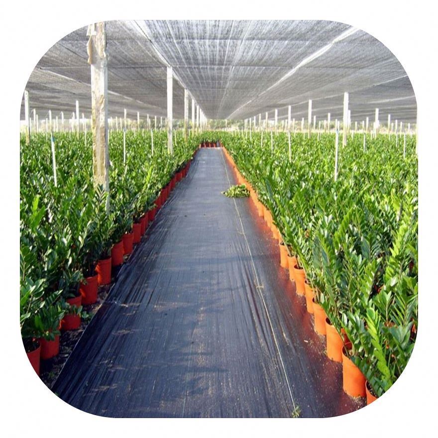 100 Hdpe Aluminum Eyelet Reinforced Edges Greenhouse Sun Shade Net Best Working Shade Net House Design