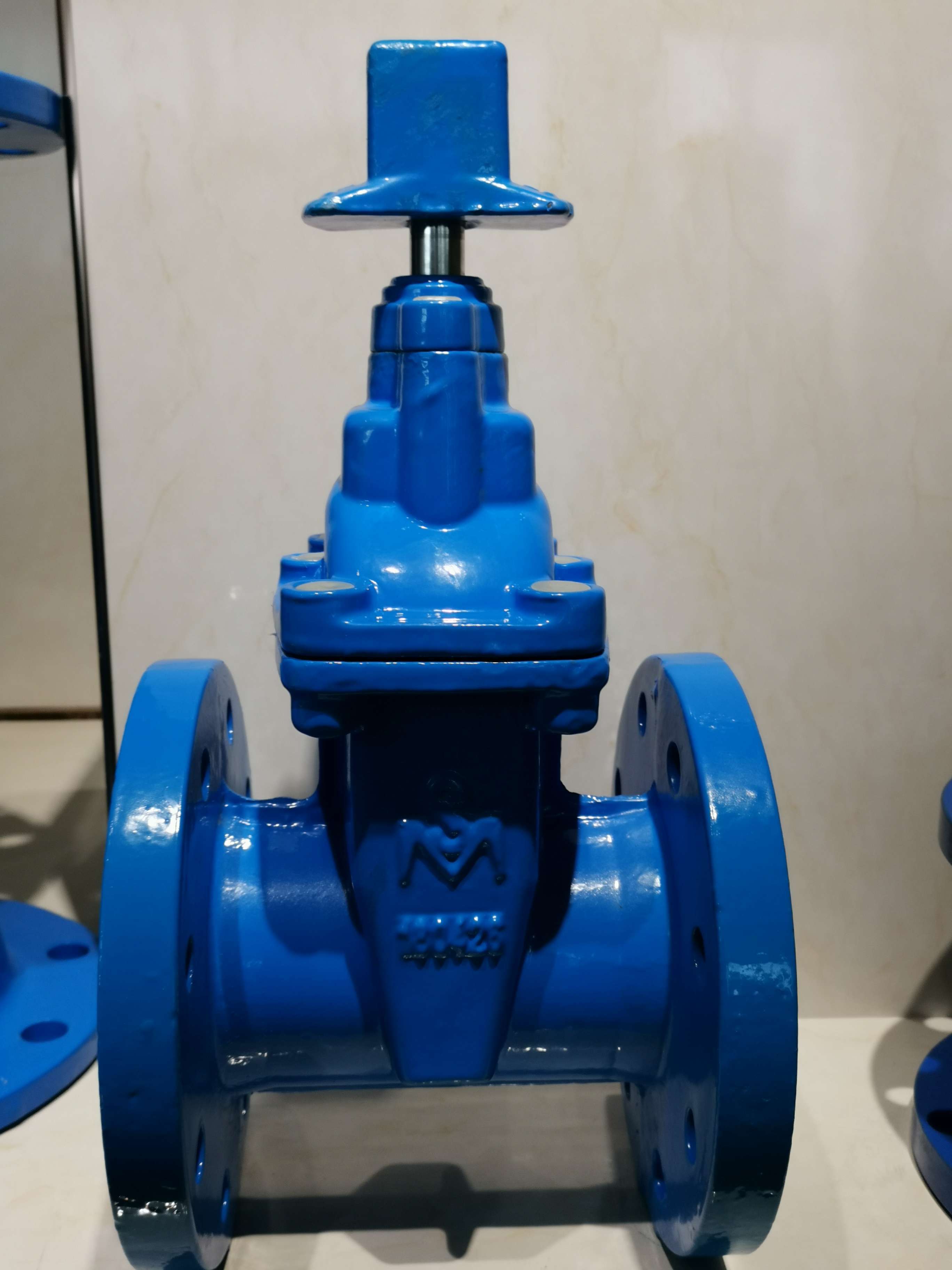 cast iron gate valve BS5163  DIN3352 AWWA C515  russia gost gate valve non-rising stem resilient seated flanged