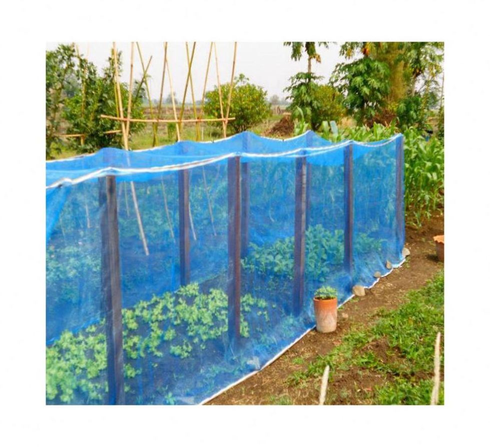 For Mosquito vegetable Plant Protect Fish Insect Proof Net