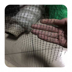 Pp Bop Turf Protection Anti Mole Plastic Fencing Net 12X12mm Mesh