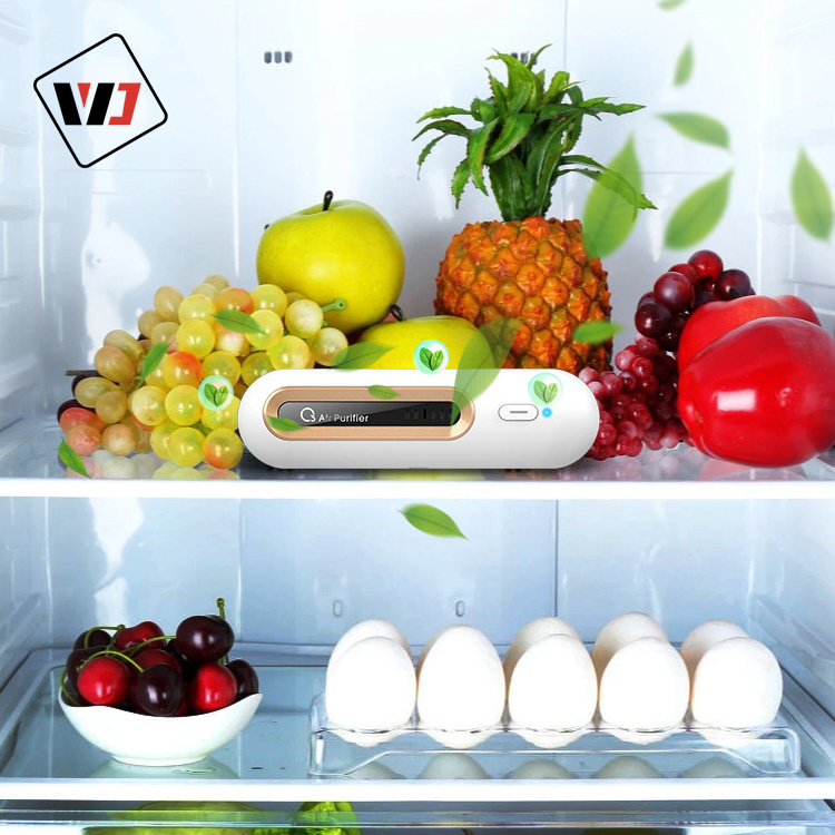 Best selling multi-function purifier for refrigerator household Food preservation air purifier refrigerator