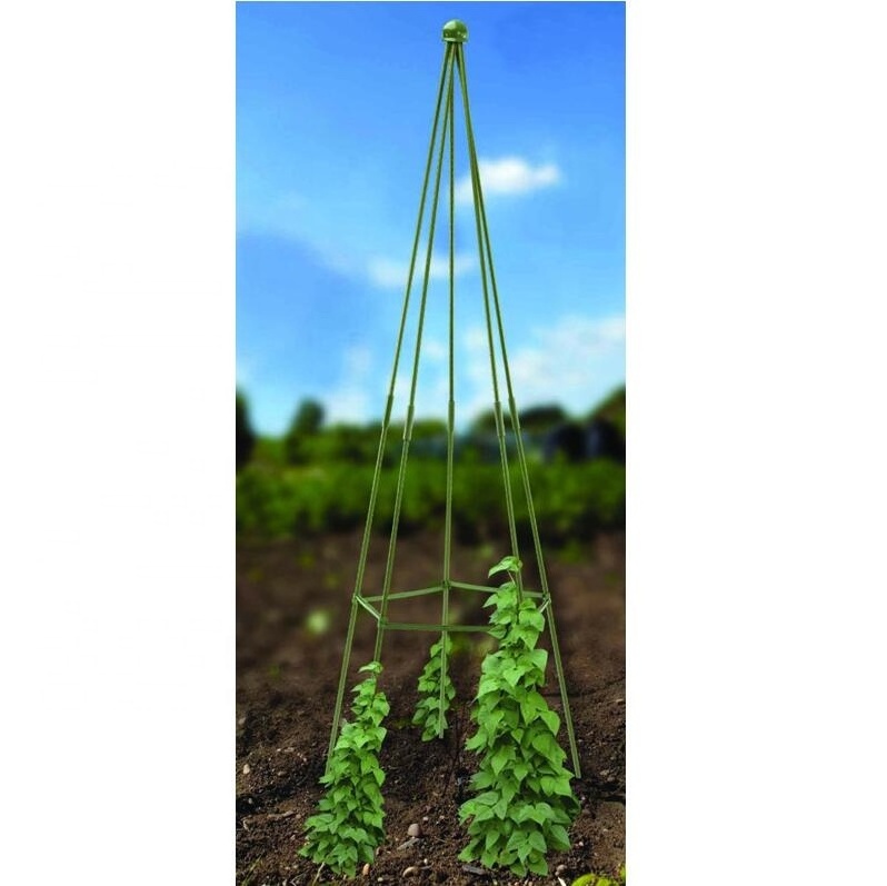 Assemble plastic coated Garden metal Plant Climbing Tomato Stake Trellis Cage Set for Garden Plant Support